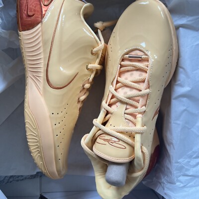 Nike Lebron 21 Mens 11.5 Sneakers Basketball Shoes Melon Tint