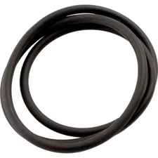 Jandy Zodiac Laars R0462700 Tank Top O-Ring Replacement for CS Series