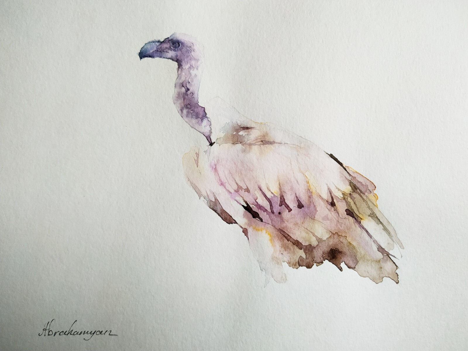 Vulture, Birds, Watercolor artwork, Handmade, Original painting on paper