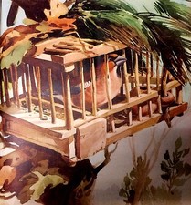 STAMPA 1952 ROBERTO LEMMI CACCIA VENATORIA "FROSONE DA RICHIAMO" ORNITOLOGIA 