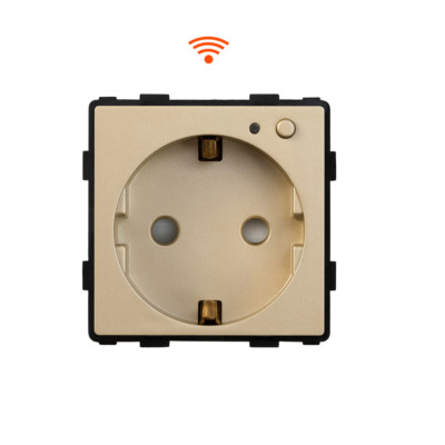 Luxus-Time WIFI Wandsteckdose Modul Smart Steckdose WLAN Alexa SmartHome Schuko