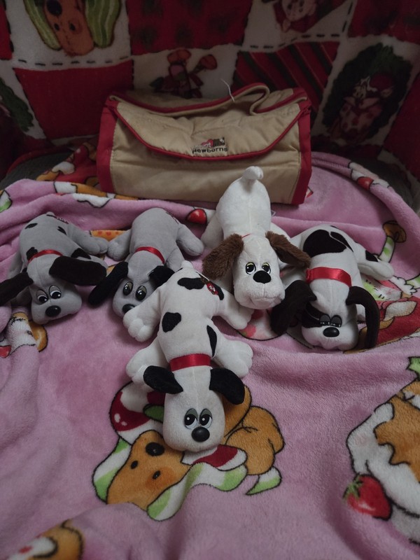 Rare Vintage Lot Of 4 Tonka Pound Puppies Collectible and case.