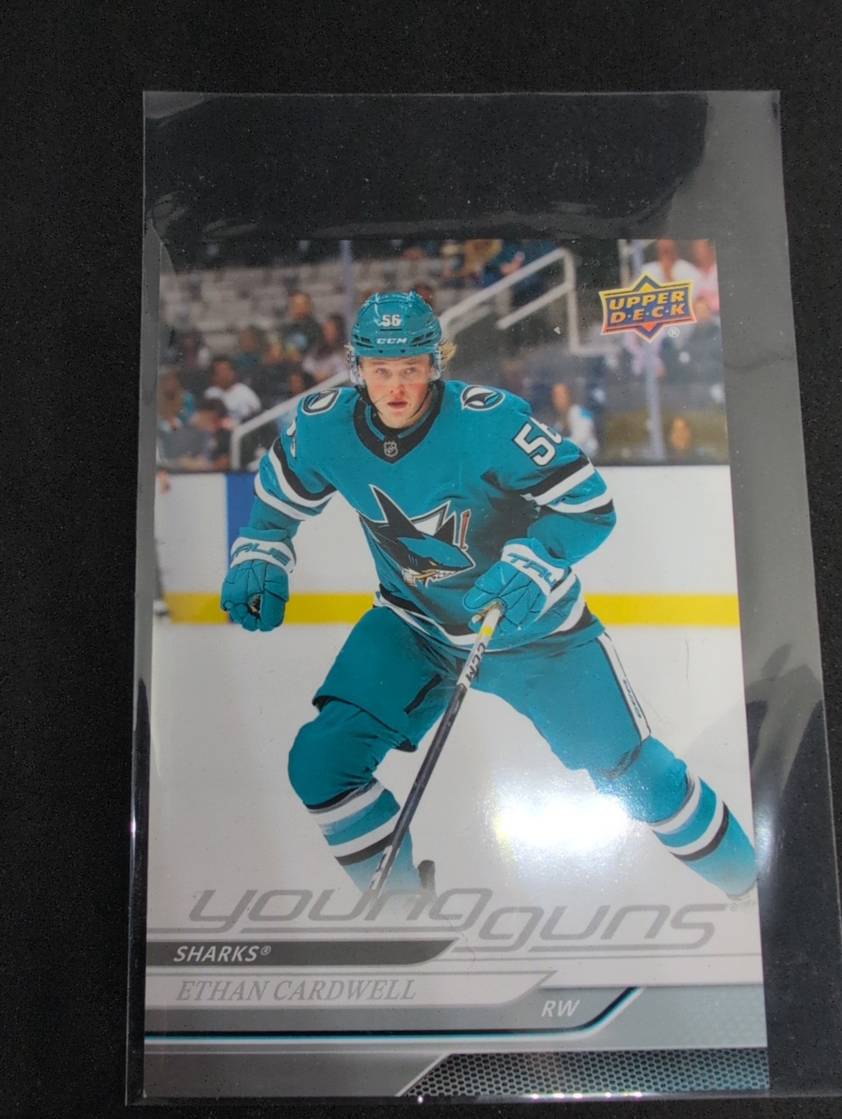 2024-25 Upper Deck Series 2 - Young Guns Ethan Cardwell #459 Oversized (RC)