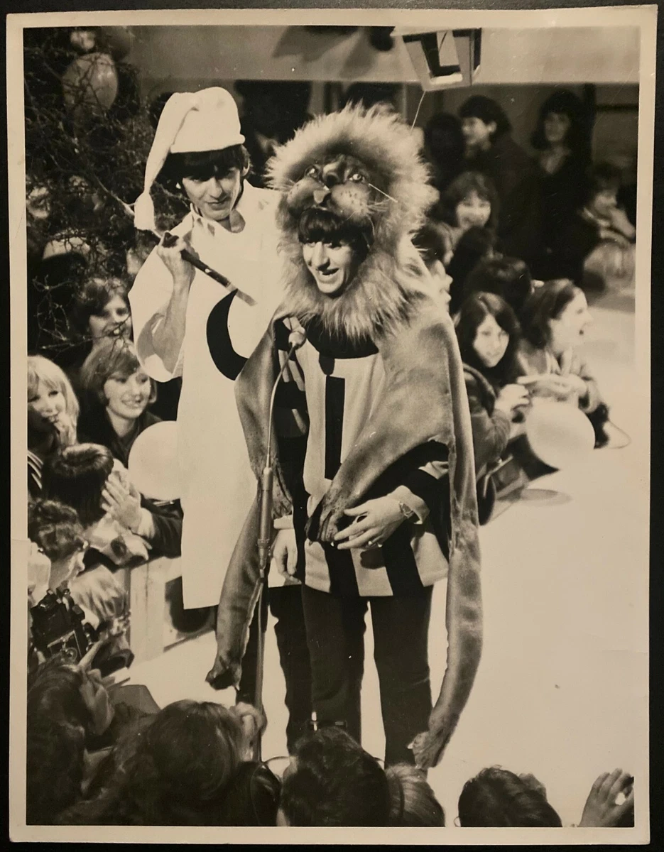 Ringo Starr Lion
