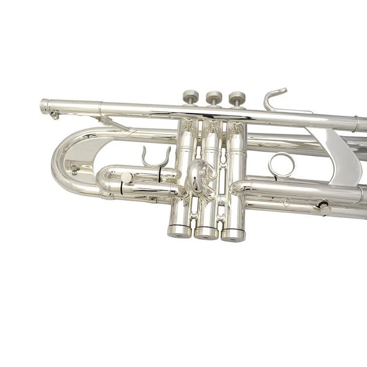 Schiller Frankfurt Elite Custom with Flashing - Silver Plated Foto 4 de 4