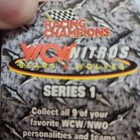 Racing Champions WCW Nitro Bears & Wolves Series 1 Sting Beanbag Plush Bear 1999 — photo 2