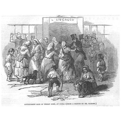 IRLAND Government Sale of Indian Corn at CORK - Antique Print 1846