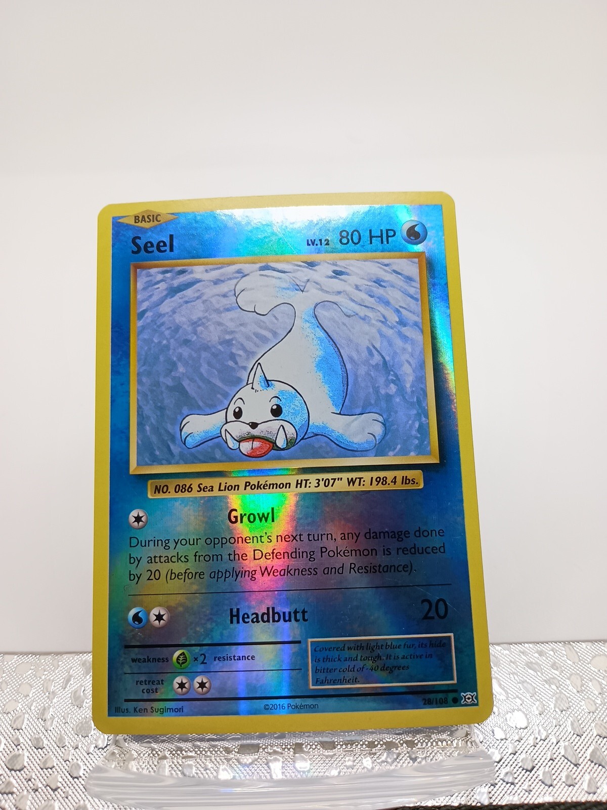 Pokemon TCG Seel 28/108 XY Evolutions 2016 Reverse Holo LP eBay