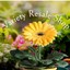 varietyresaleshop