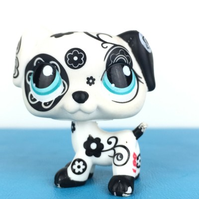 lps dalmatian
