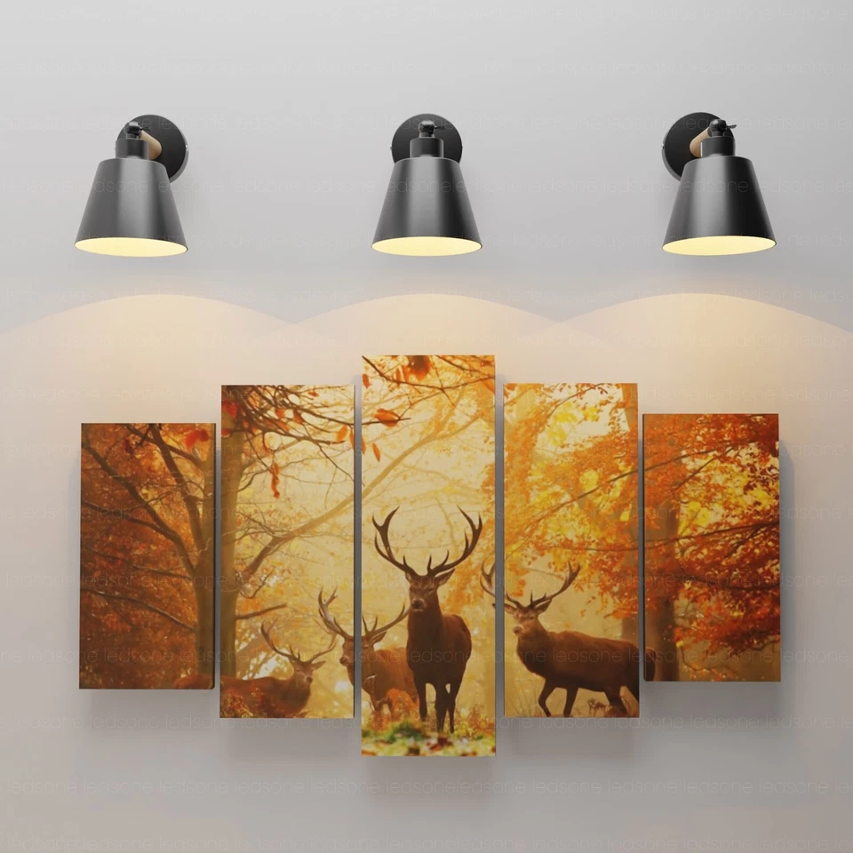 Wall Light Adjustable