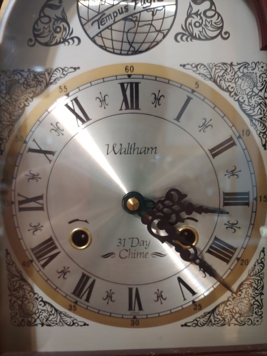 Waltham 31 Day Chime Wall Clock Tempus Fugit Pendulum - with Key