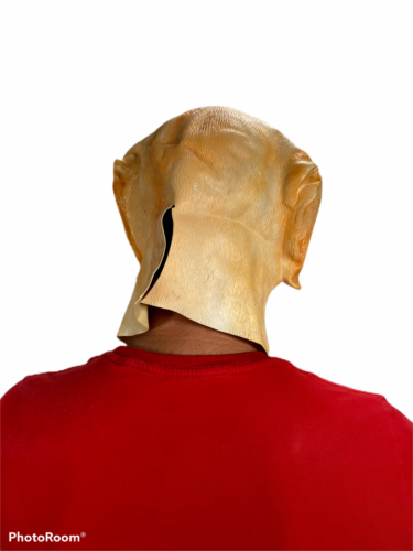 Golden Labrador Mask Latex Animal Dog Masks Costume Accessory Canine Lab Puppy - Picture 11 of 11