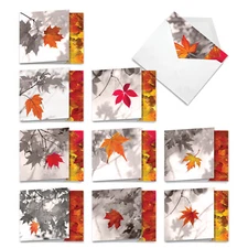 10 All Occasion Blank Note Cards Bulk - Autumn Leaf MQ4629OCB-B1x10