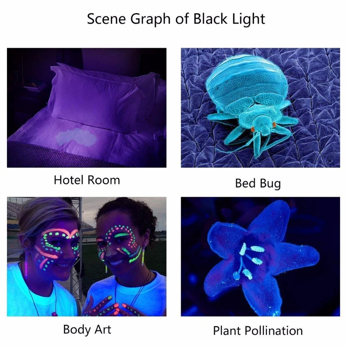 Black Light Flashlight Super Bright Waterproof USB Rechargeable 365nm UV