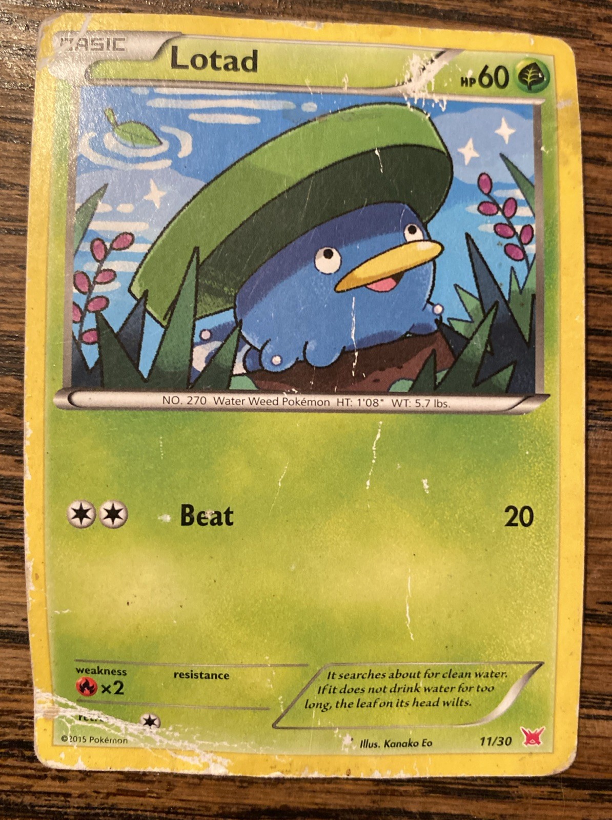 CCG - Pokémon Card - Lotad - Basic - 11/30 - XY Trainer Kit 2015