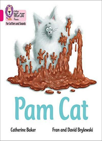 Pam Cat: Band 01B/Pink B (Collins Big Cat Phonics for Letters and Sounds) - Image 4