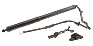 Stabilus 2Q587748 Doors - Door Lift Support for sale online | eBay
