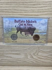 1937-2005 U.S. Buffalo Nickels "Old & New" Collection of 2 Coins