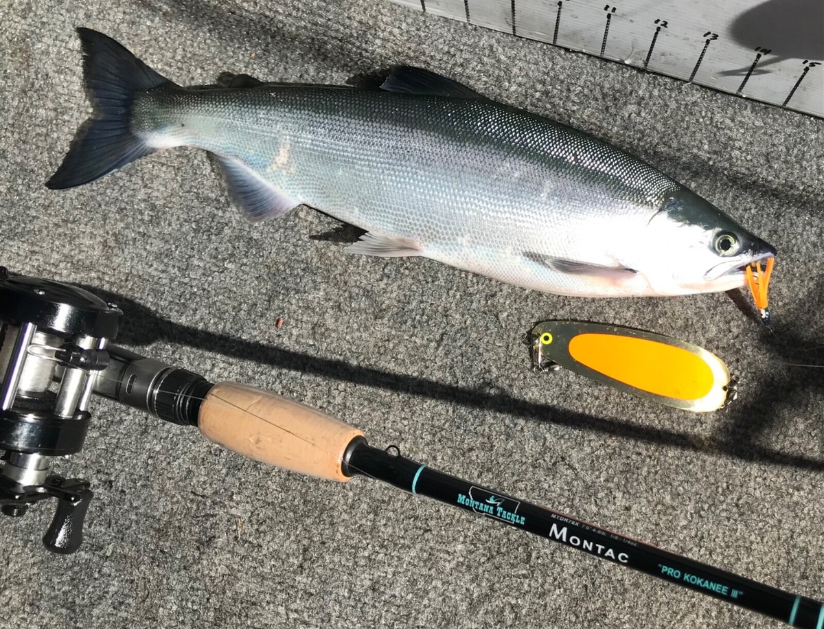 Okuma Best Kokanee Trolling Rods Best Kokanee Trolling Rod Okuma