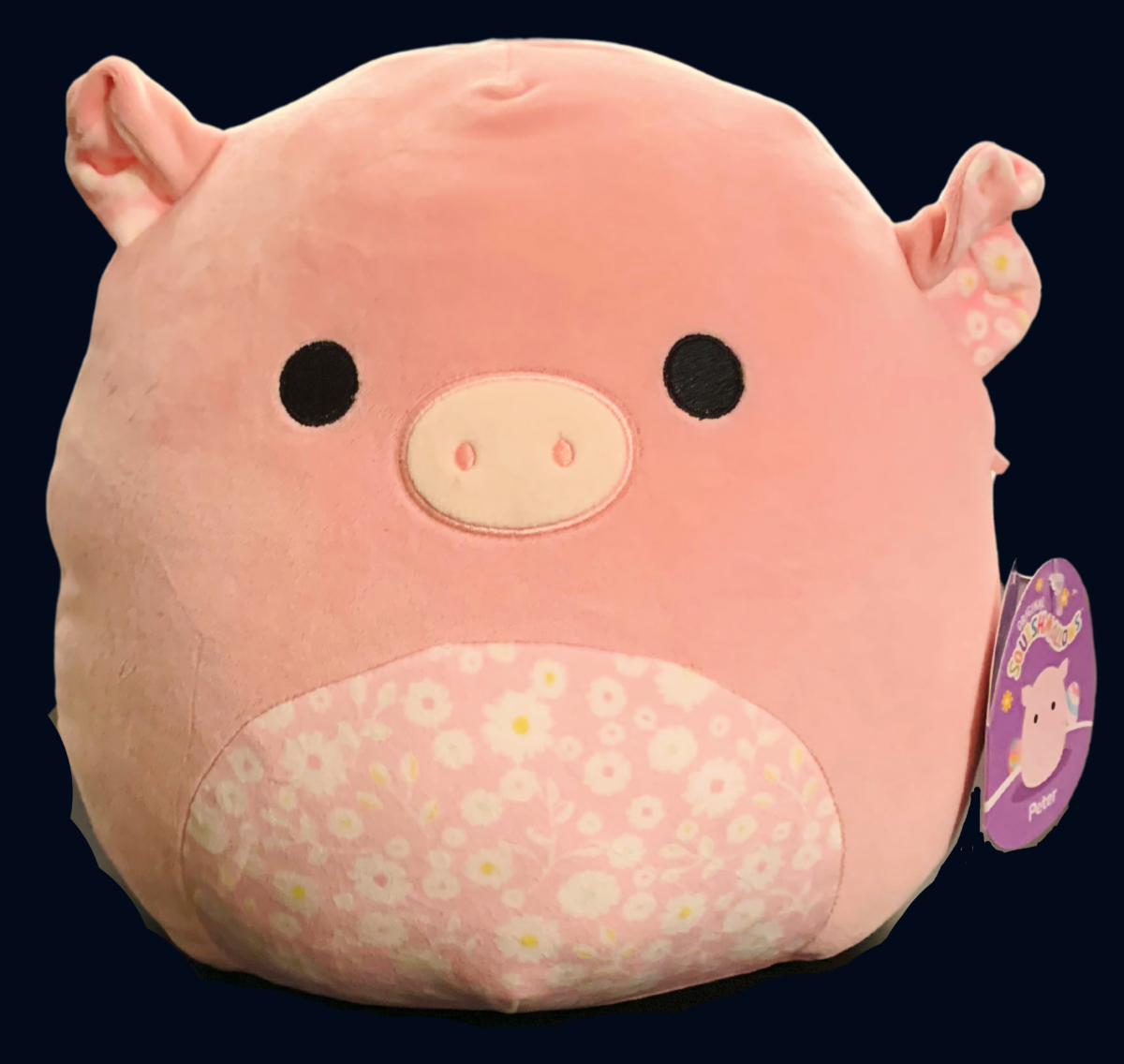 Squishmallows PETER The PIG 11