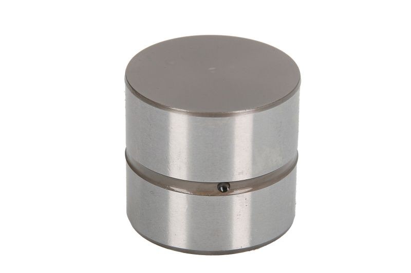 Fits INA 420 0220 10 Tappet 420 0220 10 Valve tappet hydraulic (diame ⭐UK Stock⭐