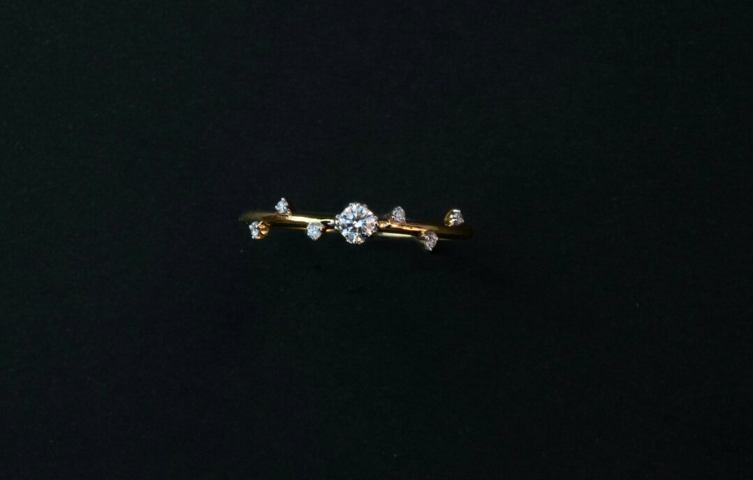 Picture 5 of 12