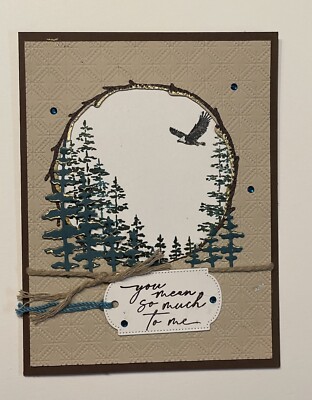 4 Stampin Up!  You Mean So Much to Me Masculine Card Kit Woods Forest Nature