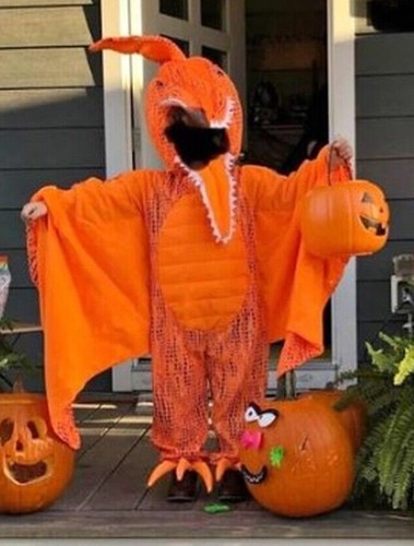 POTTERY BARN KIDS PTERODACTYL ORANGE DINOSAUR 3T/3 COSTUME & MATCHING TREAT BAG