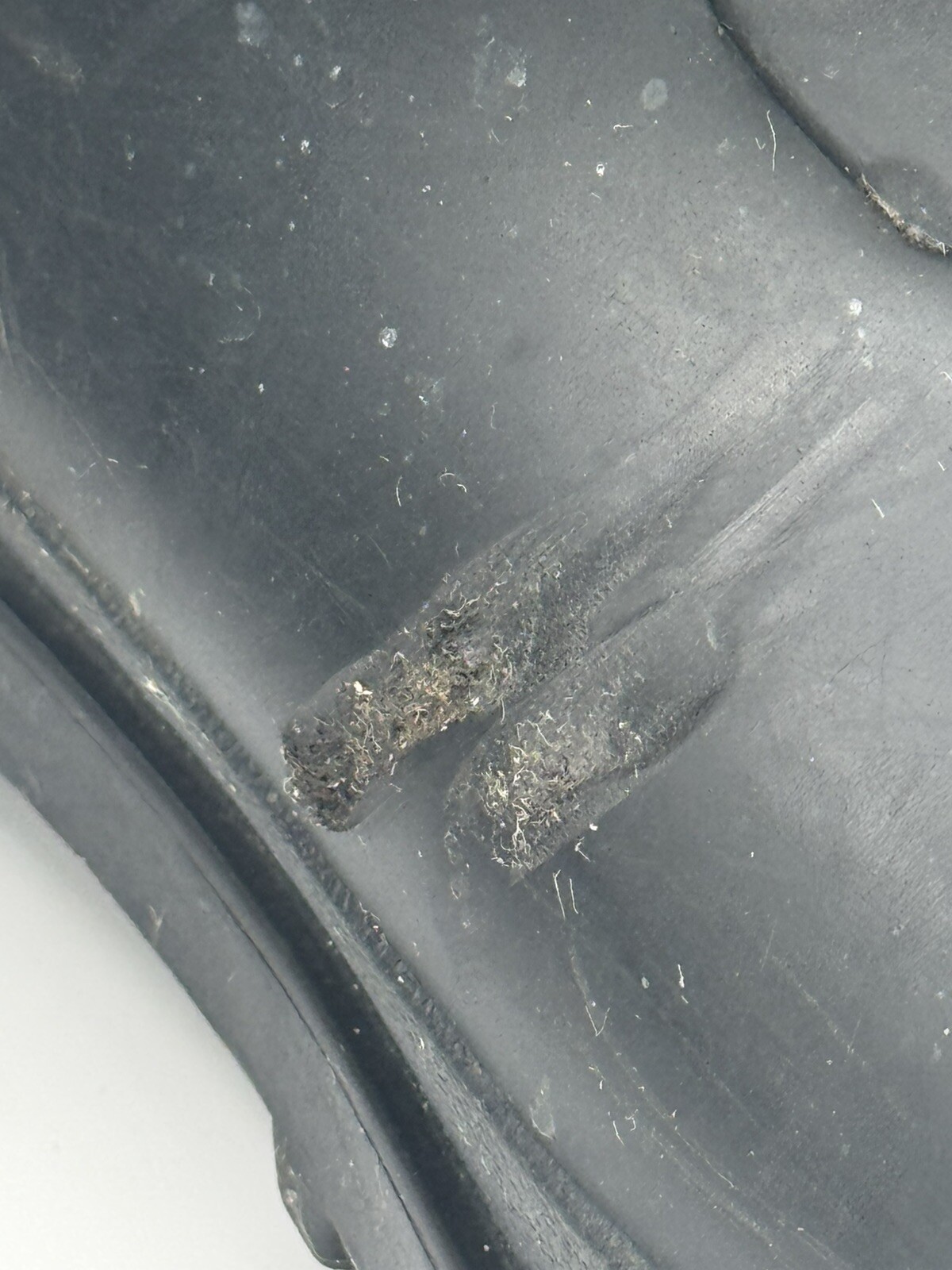 Picture 7 of 8