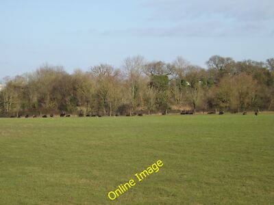 Photo 12x8 Hebridean Sheep at Corner Farm Sibton Off Rendham Road c2014