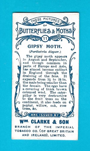 MARIPOSAS Y POLILLAS - TARJETA NO. 11 - Mundial. CLARKE & SON - 1912 - Imagen 2 de 2