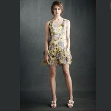 BHLDN Anthropologie Anna Sui Castle Hill Shift Size 4 NEW Retail $390