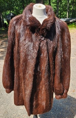 Beaver Fur Stroller Coat great color,  new well matched pelts, women's Large (L)