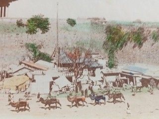 [ CHINE CHINA VINTAGE ALBUMEN PRINT ] PHOTO ANCIENNE VERS 1890 PÉKIN MANDCHOURIE