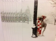 AVANTI CHRISTMAS GREETING CARDS New w/Envelopes LOT 8 LIGHT POLE**BEST DEAL EVER