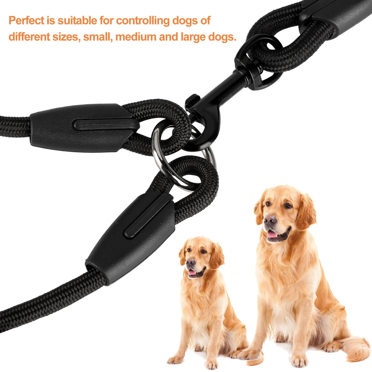 Double dog lead for small dogs cheap