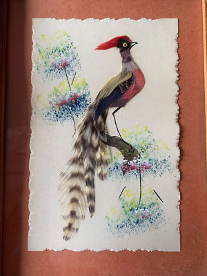 Vintage Real Bird Feather Art Feather Bird Art Framed 5.5