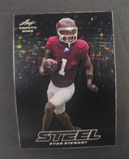 2023 Leaf Trinity Steel S-32 Evan Stewart Stars and Dots
