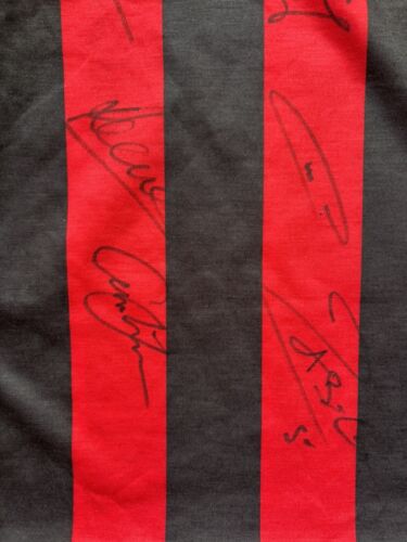 Manchester City 2011/12 Premier League Winners Away Football Shirt Signed By 14 - Picture 8 of 12