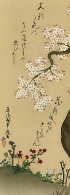 Cherry Blossom Kunstdruck Ogata Kenzan 15,3 x 42,5 cm