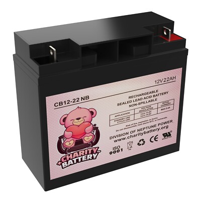 Charity Brand Replacement For 12V 22AH NB Battery For UB12180 UPG Universal