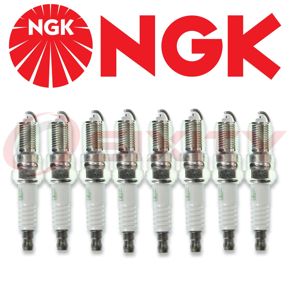 8 PCS NGK #3186 TR5GP G-POWER PREMIUM PLATINUM SPARK PLUGS NEW