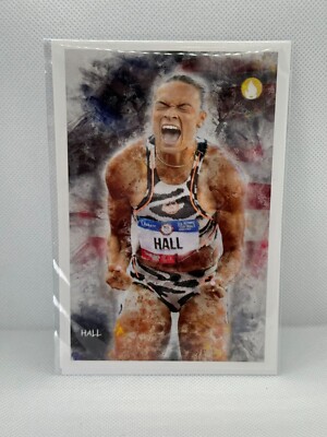 Anna Hall 4x6 Art Photo Print John Rudolph Signed Team USA