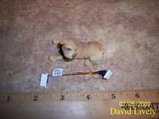 5x Lot Dell XR034 50.4C304.001 Bluetooth Cables 10PIN XPS M1330 CN-XR034