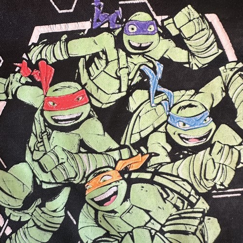 Nickelodeon Teenage Mutant Ninja Turtles Kids Pullover Hoodie Size L 10/12 - Picture 3 of 11