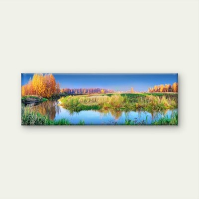 Panoramic Mixed Forest & Lake View Photograph Canvas Print Wall Art Home Decor