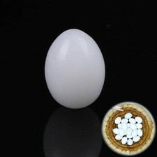 Dummy Eggs White Solid Plastic Hatching Supplies Solid Pigeon Eggs 10Pcs Fake