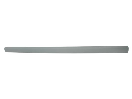 Left Front BLIC 5703-04-9506575P Trim/Protection Strip, wing for VW
