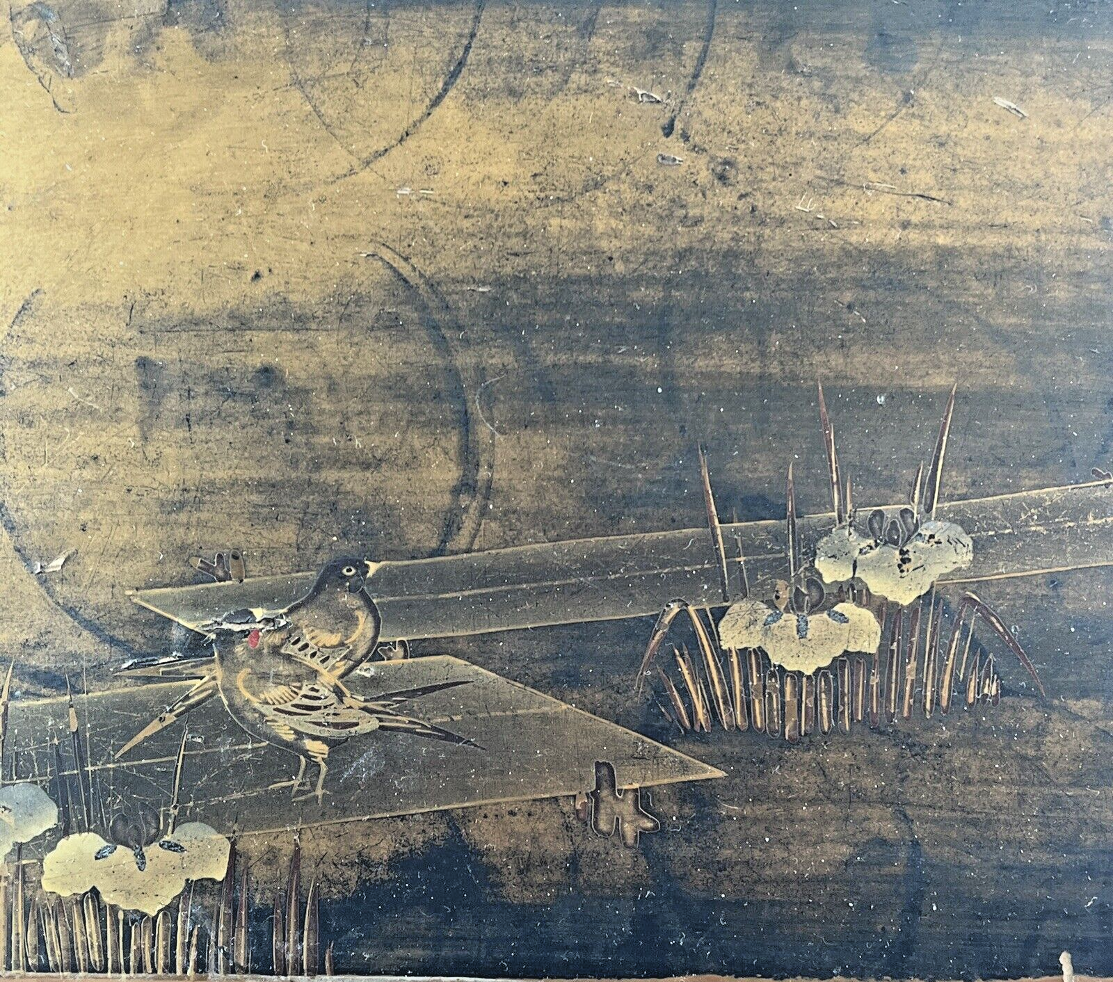 Foto 5 di 17